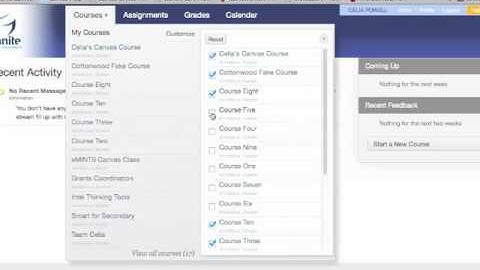 Customize Your Courses Menu in CANVAS