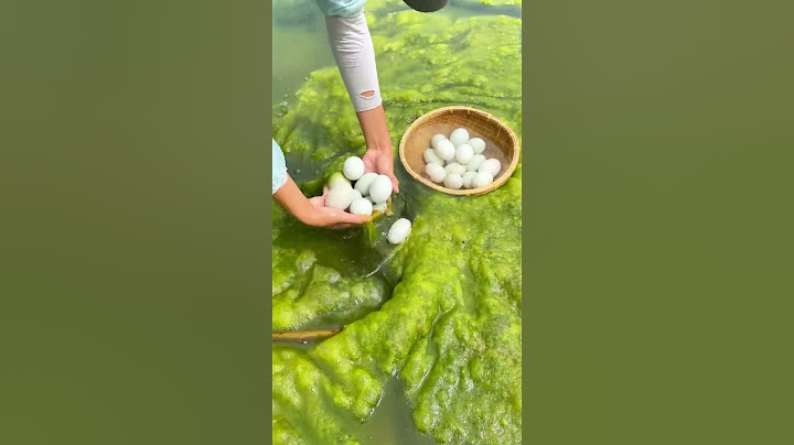 Collecting eggs in the river #shorts