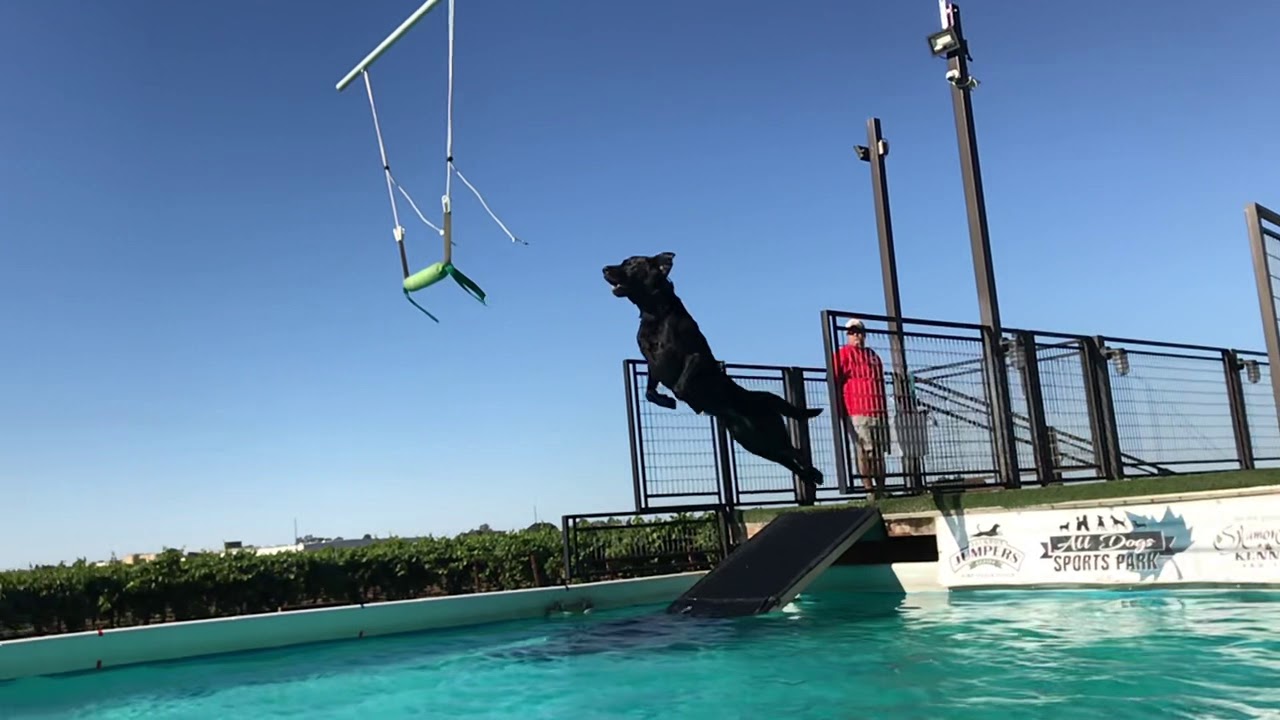 Danglesnatch practice 16’