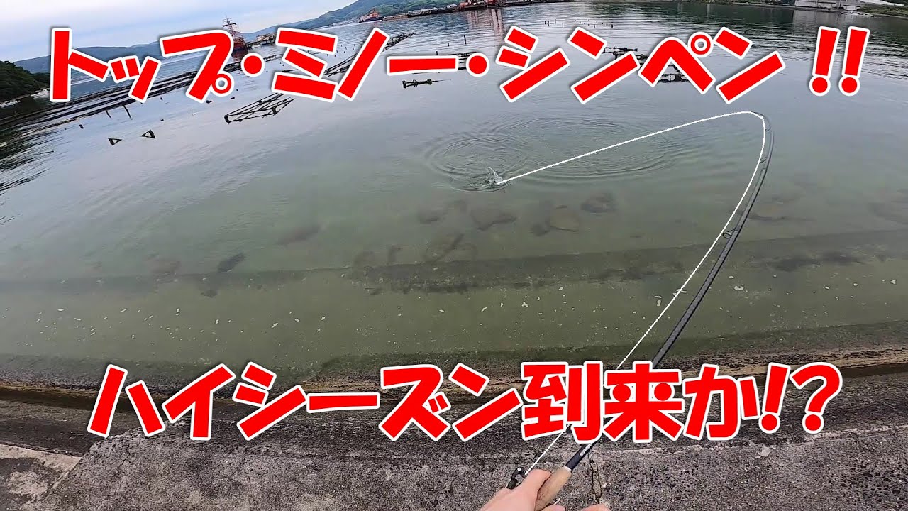 何投げても釣れるシーズン到来か Youtube