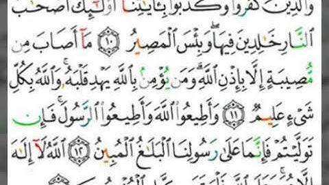 064 سورة التغابن 10 إلى 13