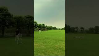 Ashyana Ground Raheel Asjad Spin Zone