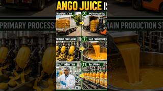 How mango juice made in factory #mango #mangojuice #factory