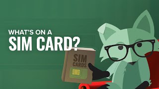 What's on a SIM Card? | Mint Mobile