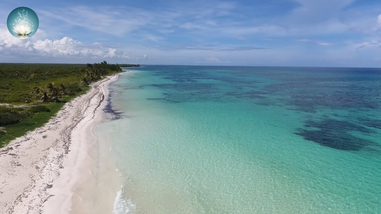 Mesmerizing Music • RELAXING Music for Sleep, Studying, Concentration & Relaxation