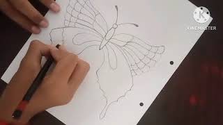 Draw Beautiful Butterfly 🦋🦋🦋🦋🦋