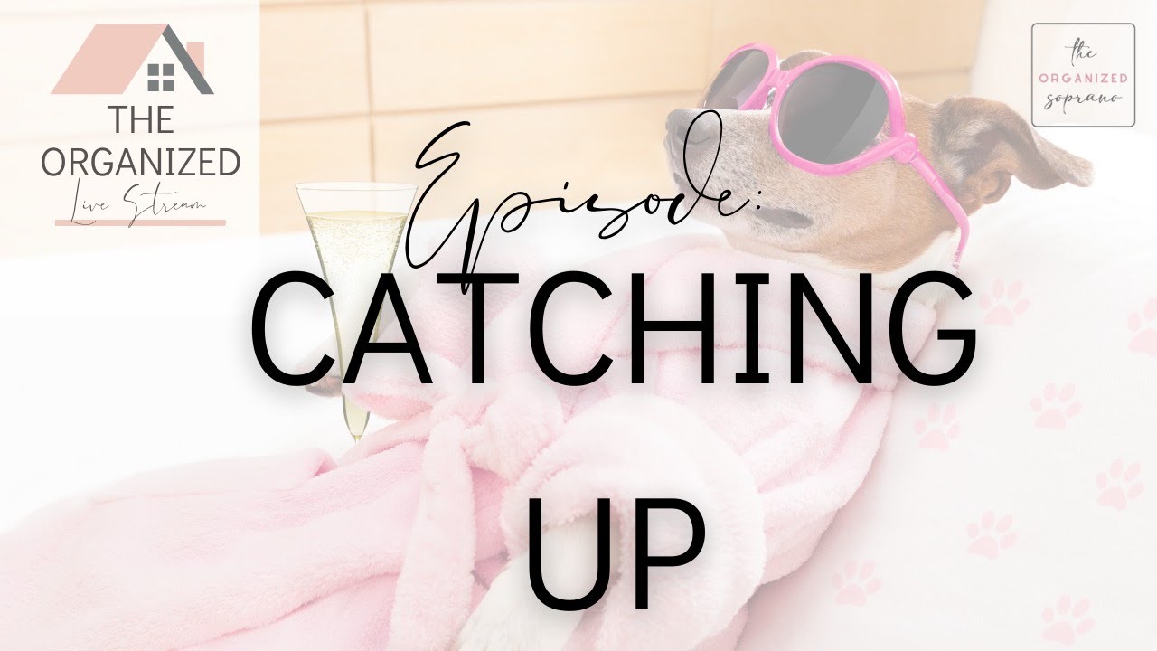 The Organized Livestream: Catching Up After My Break! - YouTube
