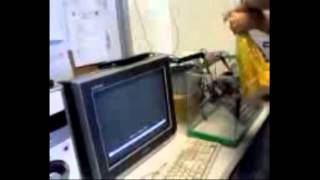 Computer System Unit in Aquarium