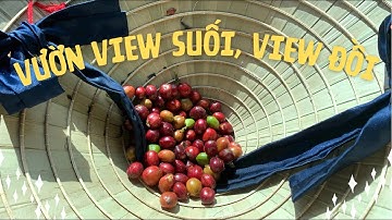 Bán đất vườn cà phê,view suối, đường bê tông,cách đường QL20 chỉ 500m, khí hậu trong lành giá 650k/m