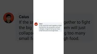 The People Puzzle Solved
