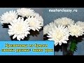 Amazing paper flowers tutorial. Цветы из бумаги. Хризантемы из бумаги своими руками: видео урок