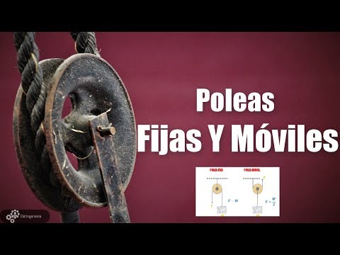 Poleas fijas y móviles