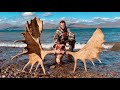 UNBELIEVABLE: 65" DIY Alaskan Moose on Day 9 - Limitless 75