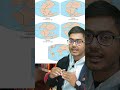 When continents started to move ? drift theory | by netwalabhaiya