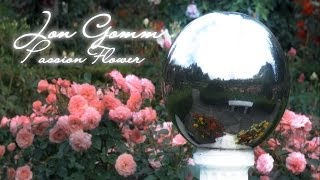 Jon Gomm - Passionflower
