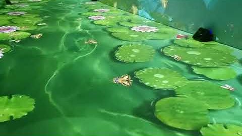 edge blending software