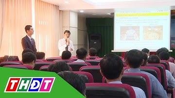 Đồng Tháp: Hội thảo Ứng dụng cọc xi măng đất trong công trình xây dựng | THDT