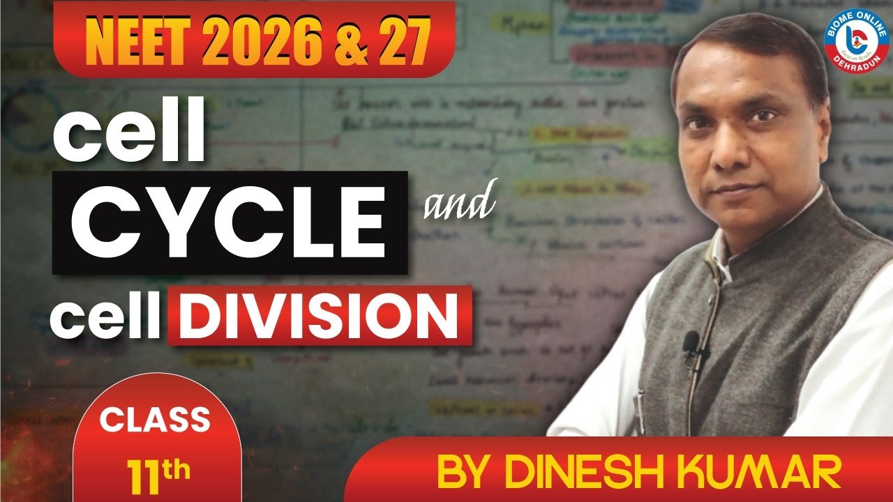 Cell Cycle and Cell Division | Class 11 Biology | Full Chapter