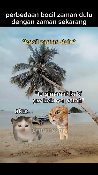 sebuah perbedaan #meme #memekucing #kucing #kucinglucu #shorts #catlover