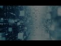 Entity Authentication, Biometric Passwords ,and Challenge Response Protocol