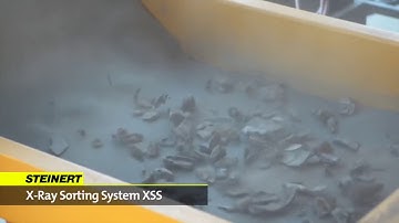 Lybover RECYCLING (BULK .ID) - STEINERT XSS   sensor sorting solution for scrap materials1