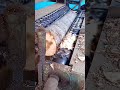 One-click peeling of logs, smooth and soothing peeling experience.#mdf #woodworking #wood #pb