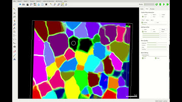 Combining and splitting 3D cells in MorphoGraphX