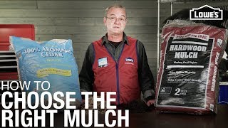 How To Choose the Right Mulch | Mulch Buying Guide