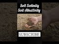 What Is The Difference Between Soil Salinity And Alkalinity Soilsalinity Soil