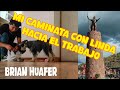 Mi Caminata Rumbo al Trabajo con Linda Schnauzer ☺️🐕