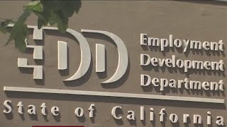 Californias Edd Director Announces Resignation Governor To Swear In Successor Tuesday