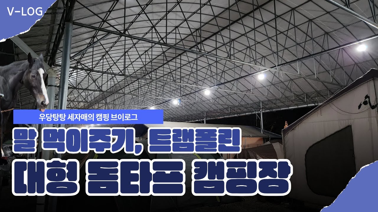 승마장에 말 먹이도 줄 수 있는 캠핑장 화성 산들래캠핑장 오토캠핑