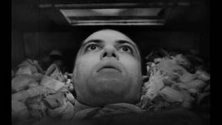 Moon Tooth - Death and the Vibrant Architecture of Rebirth