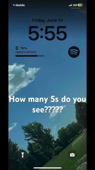 How Many 5s Do You See YouTube how-many-5s-do-you-see-youtube