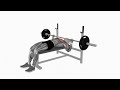 Barbell Bench Press - Proper Form &amp; Technique [4K]