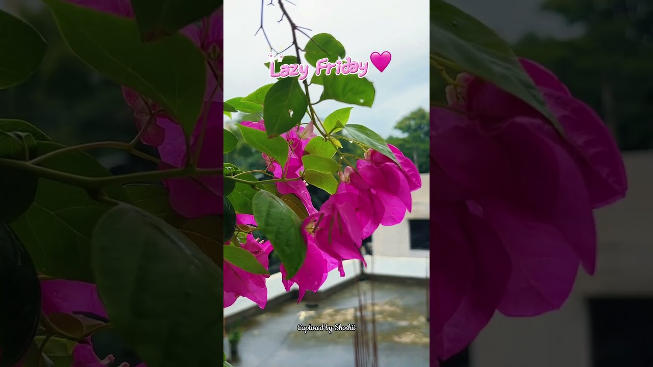 Slow Sips Soft Vibes LazyFriday MorningMood WeekendVibes SlowLiving CozyMorning FridayFeels