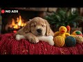 Soothing Piano Music will help Your Dog Sleep Well - Reducing Stress and Anxiety When Away From Home