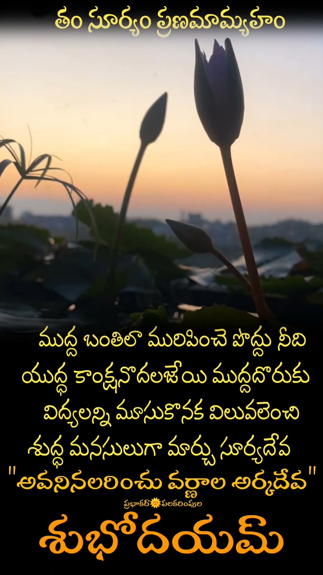 తం సూర్యం ప్రణమామ్యహం - ShareChat