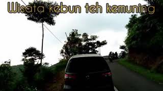 Lirik terjemah  lagu panek di awak Kayo di urang VOC.frans ft fauzana