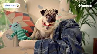 Srf Info Hd - Werbung 17.02.2019, 1801