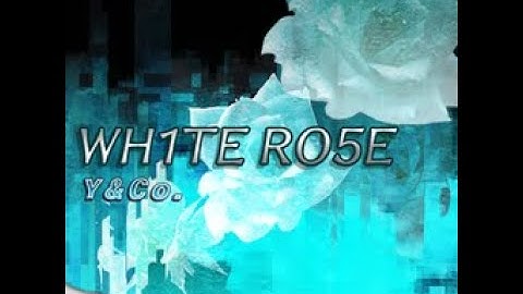 WH1TE RO5E (DDR NovaMAX CSP)