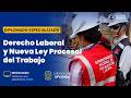 DIPLOMADO EN DERECHO LABORAL Y NUEVA LEY PROCESAL DEL TRABAJO - SESIÓN XIV