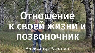 Отношение к своей жизни и понятие блокировка позвоночника