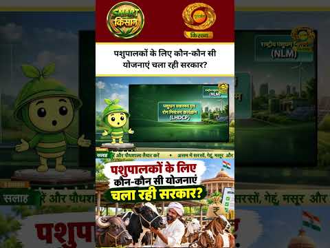 WATCH | पशुपालकों के लिए कौन-कौन सी योजनाएं चला रही सरकार? | Smart Kisan | DD Kisan
