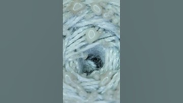 melting threads 👁 #macro #macrovideo #shorts