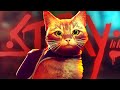 THE CUTEST CAT GAME (Stray)