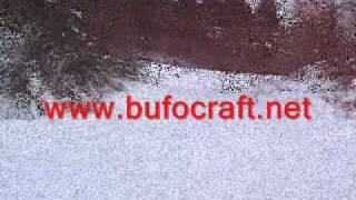 BUFO hovercraft going uphill - demonstration of thrust power