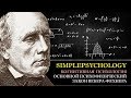 Когнитивная психология ощущений #21.  Основной психофизический закон Фехнера-Вебера [Психофизика]