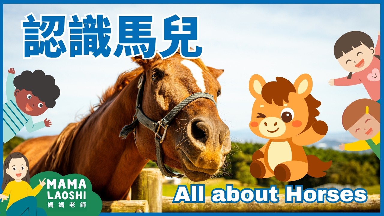 Year of the Horse! All about Horses for Kids in Chinese 帶小朋友認識馬 🐎|#馬#馬年#騎馬#馬術 |Equestrian | 優質中文兒童影片 縮圖