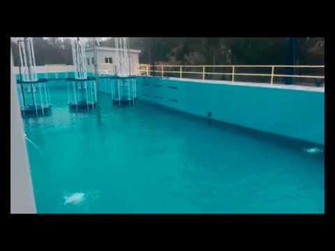 X - Wave Facility's First Standing Waves